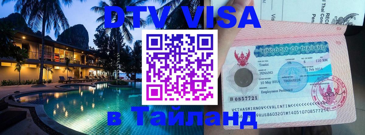 Оформление DTV визы под ключ: стоимость и тарифы, только загранпаспорт - Михайловск  03.10.2025 